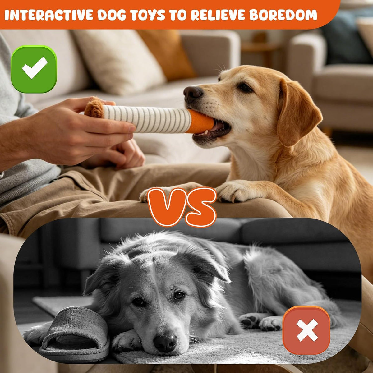 Funny Dog Toys for Small Medium Dogs, Squeaky Interactive Dog Toy